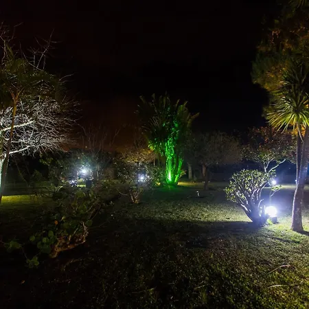 Casa Barao Laranjeiras ゲストハウス ポンタ・デルガダ