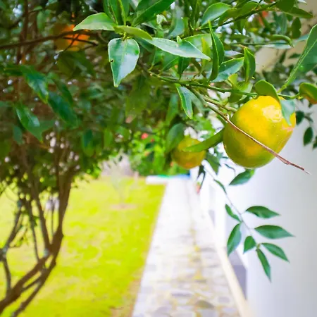 Casa Barao Laranjeiras