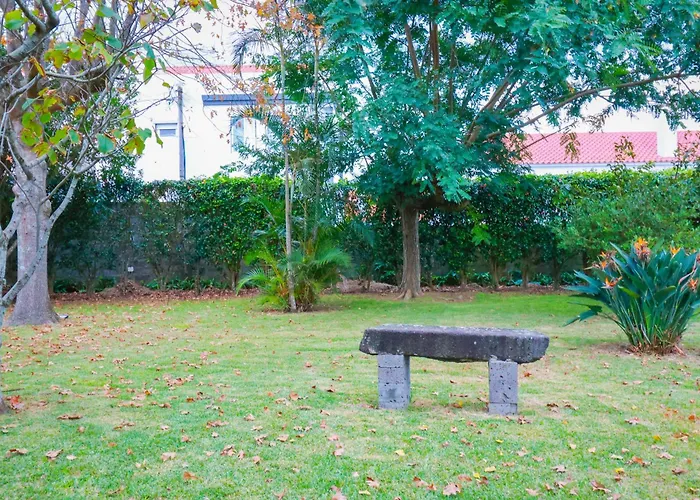 ゲストハウス Casa Barao Laranjeiras 3*