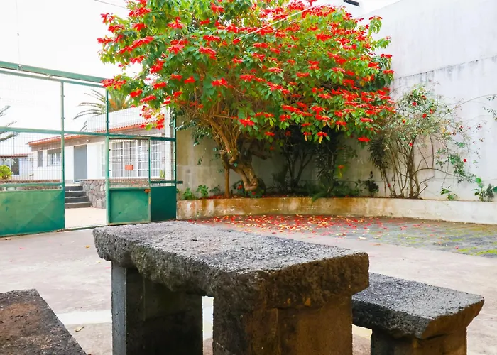 Casa Barao Laranjeiras Πανσιόν Πόντα Ντελγκάντα