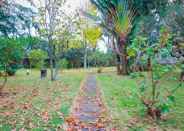Casa Barao Laranjeiras Ponta Delgada