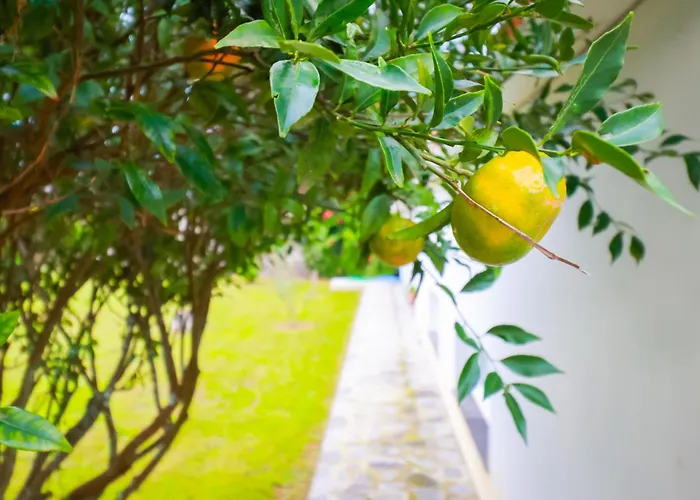 Casa Barao Laranjeiras